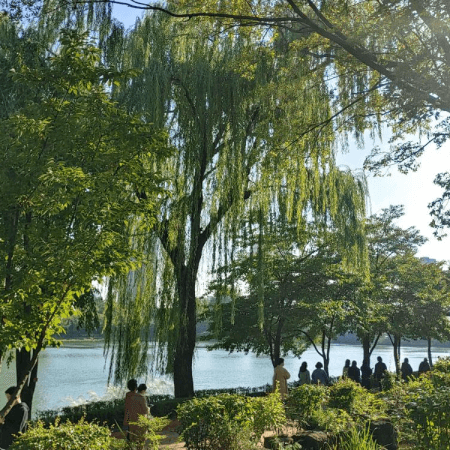 湖の周りを少し散歩する