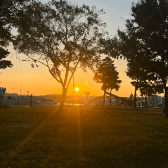 18:00 景色を見ながら夜ごはん 望遠漢江公園 (망원한강공원)